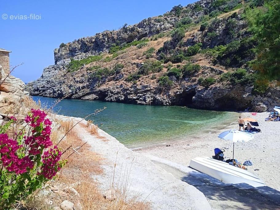 Vila Παραθαλασσιο Σπιτι Στην Εξοχη Tsakei Exteriér fotografie